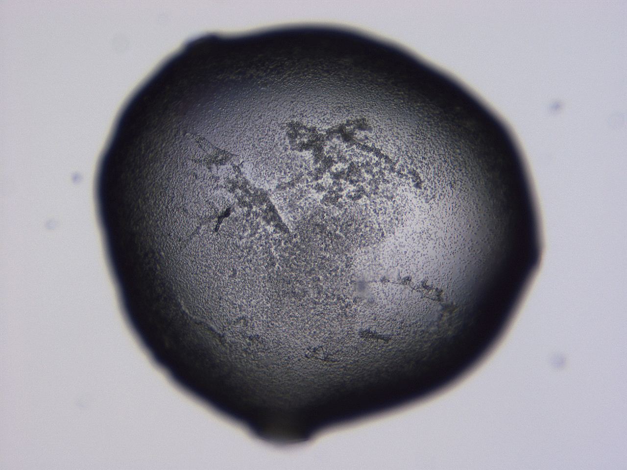 04nx_D12_ImagerDefaults_3.jpg