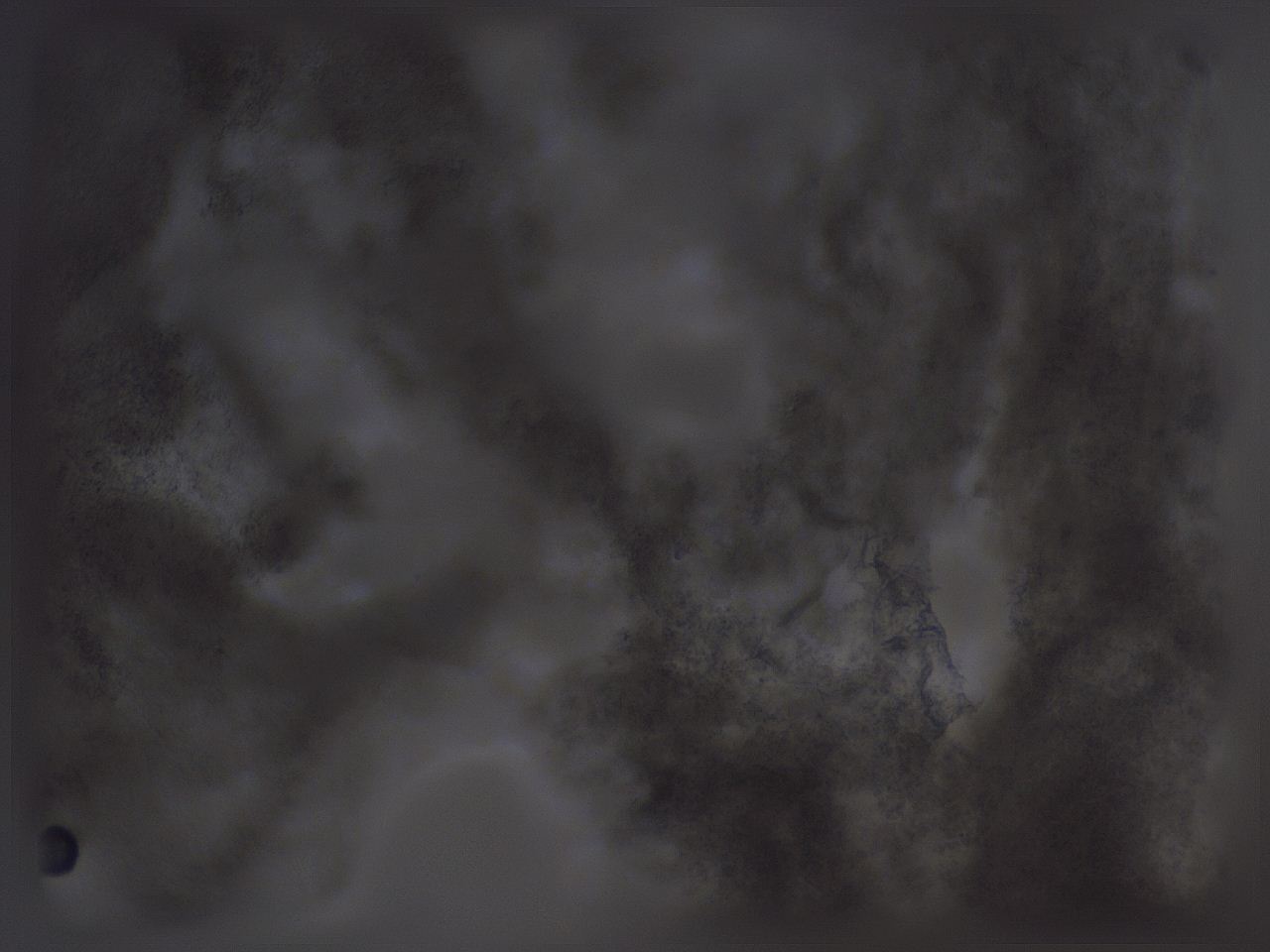 04nx_E3_ImagerDefaults_3.jpg