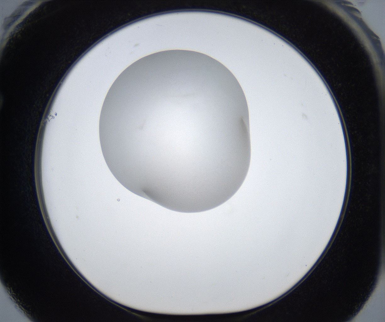 folderID921_plateID2921_batchID15769_wellNum61_profileID1_d1_r239704_ef.jpg