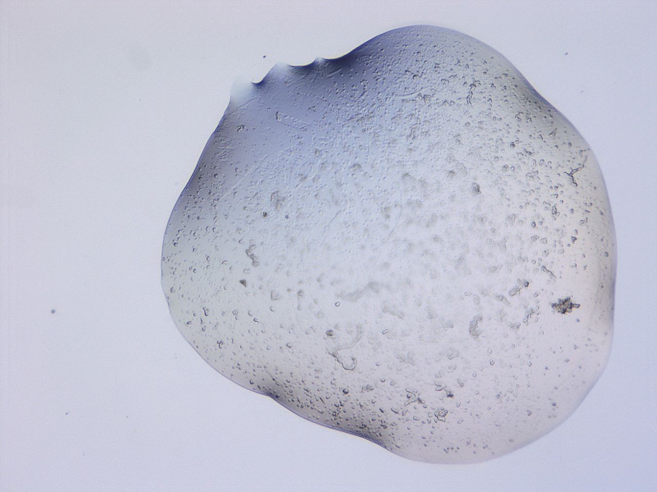 04nx_E5_ImagerDefaults_3.jpg