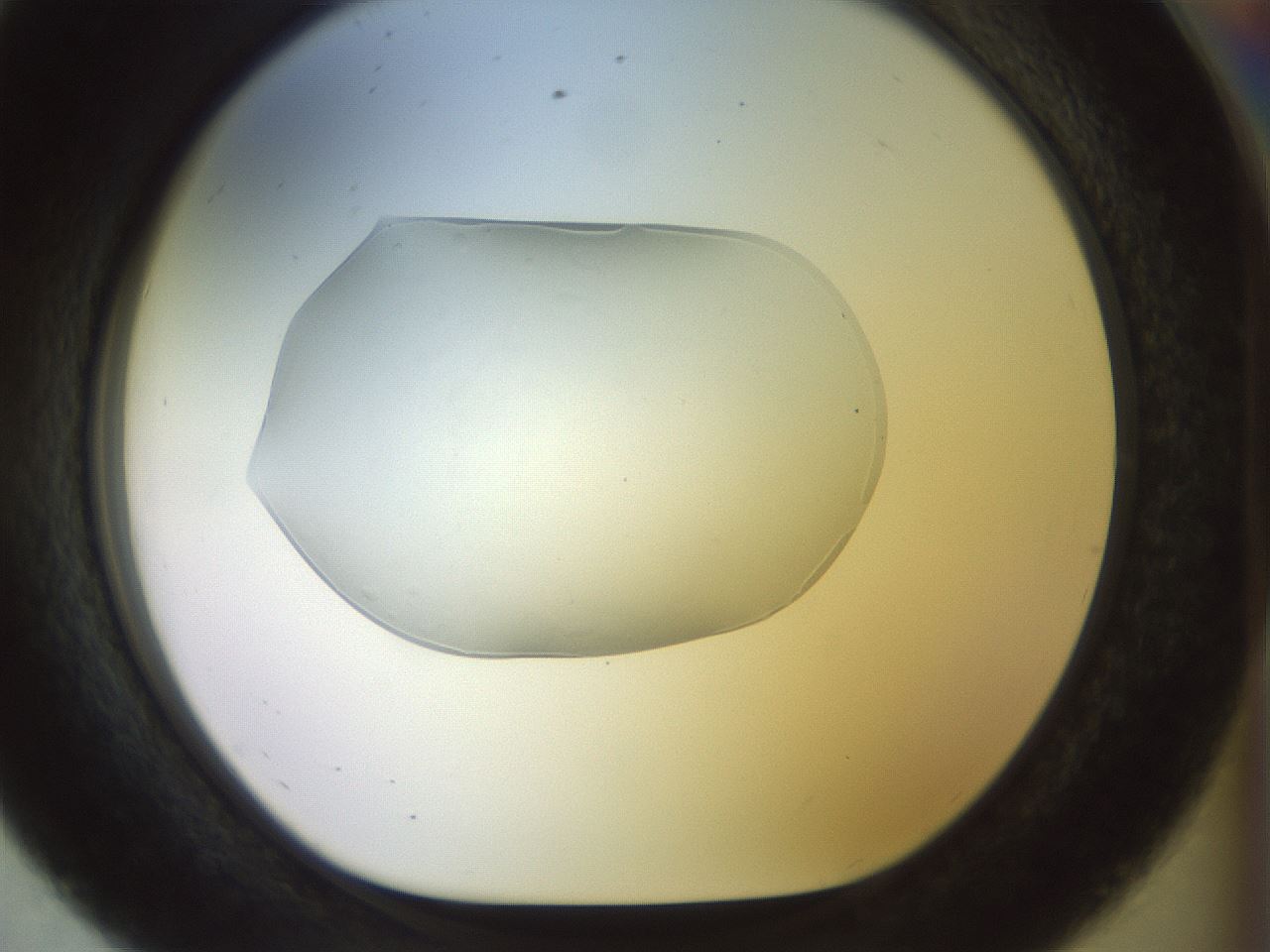 folderID922_plateID1922_batchID8272_wellNum56_profileID1_d1_r128061_ef.jpg
