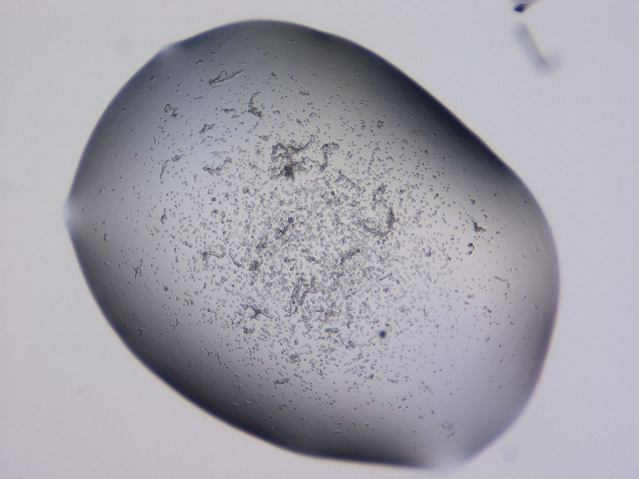 04nx_E11_ImagerDefaults_3.jpg