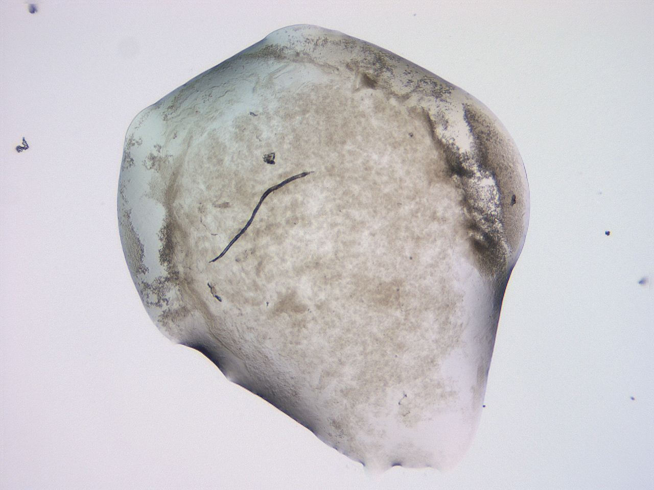 04nx_F9_ImagerDefaults_3.jpg