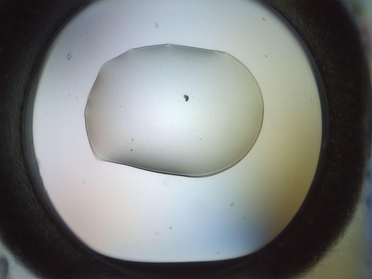 folderID923_plateID1923_batchID8269_wellNum95_profileID1_d1_r127812_ef.jpg