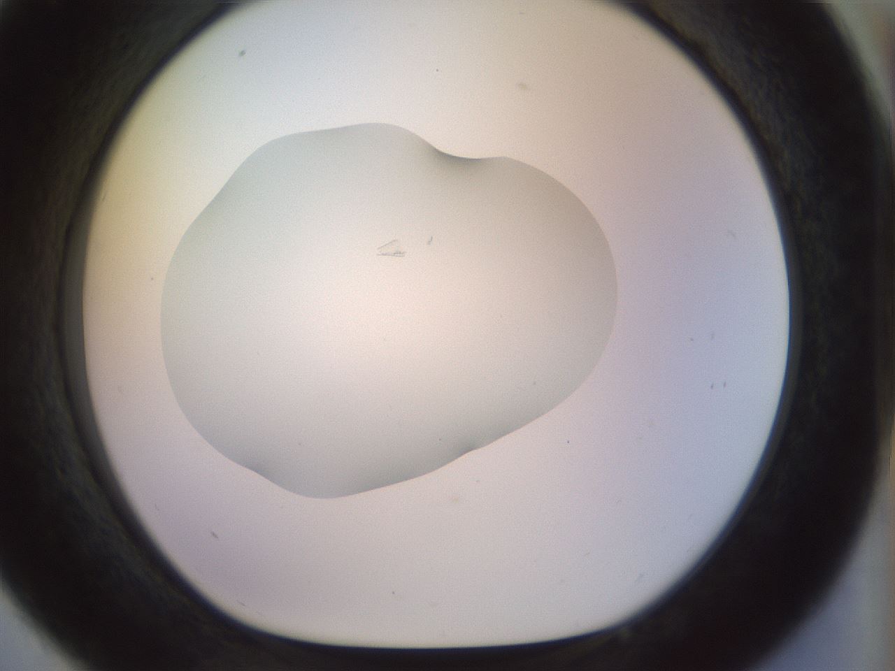 folderID923_plateID1923_batchID8269_wellNum33_profileID1_d1_r127750_ef.jpg