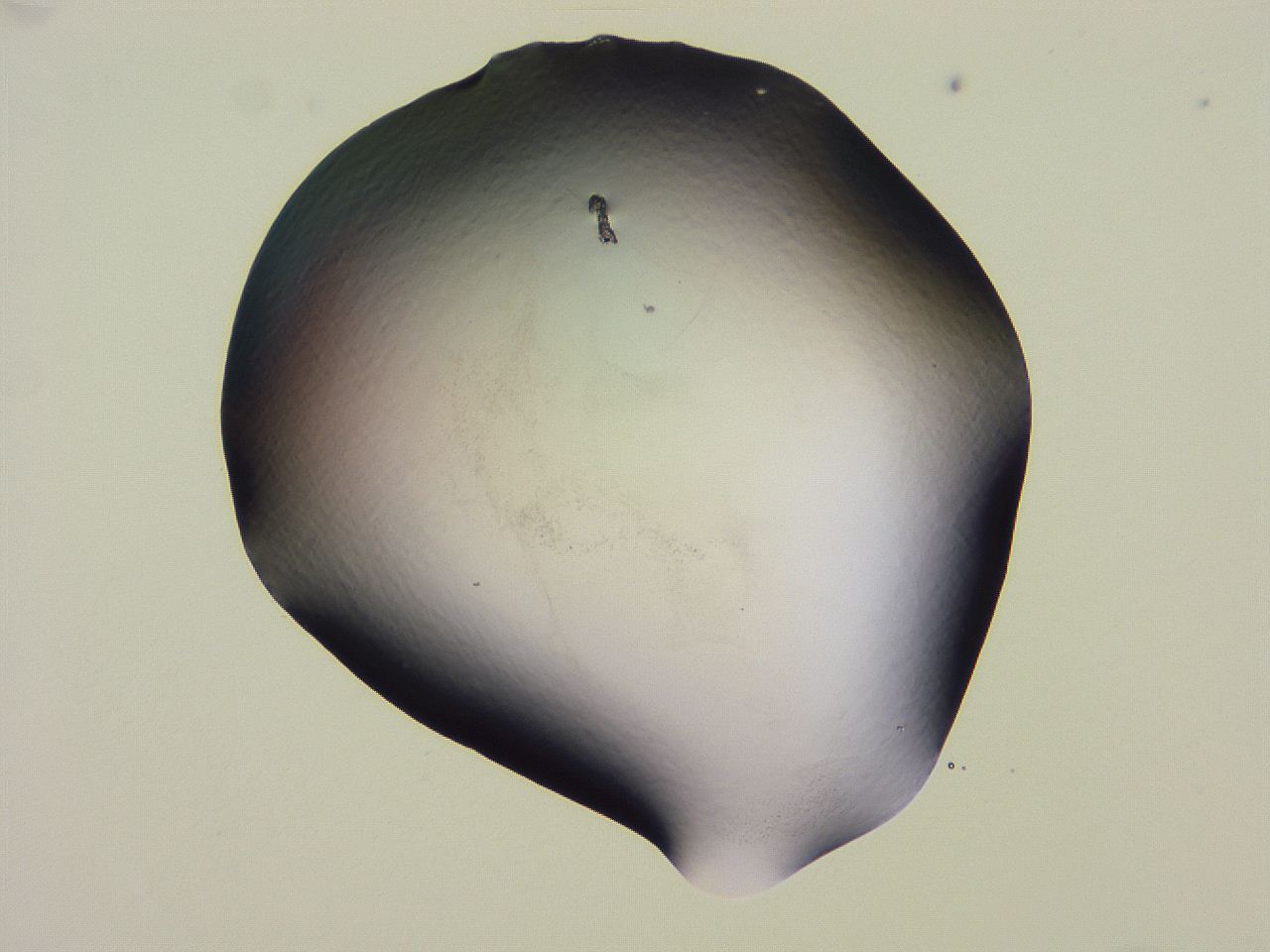 04nx_G6_ImagerDefaults_3.jpg