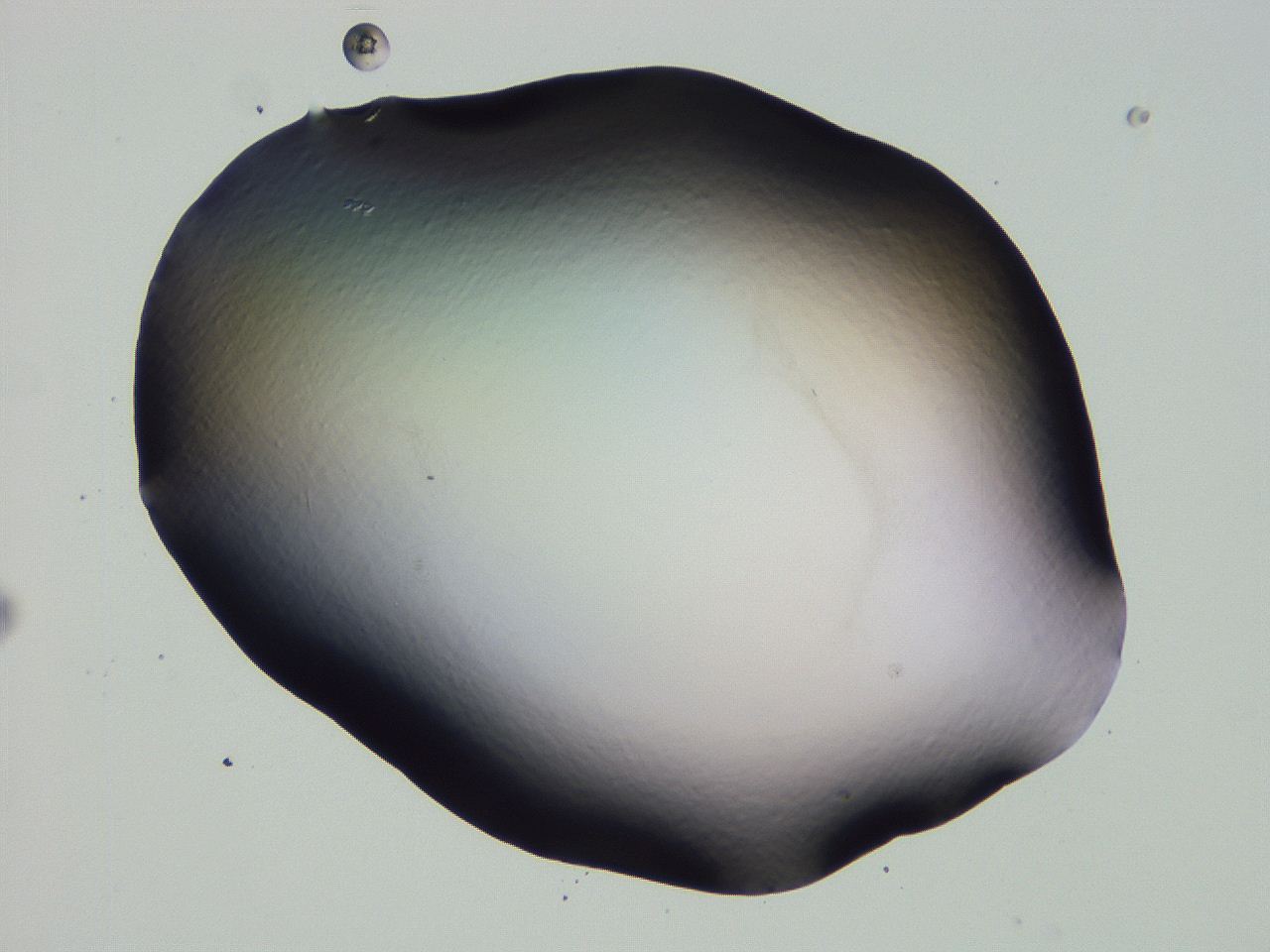 04nx_G10_ImagerDefaults_0.jpg