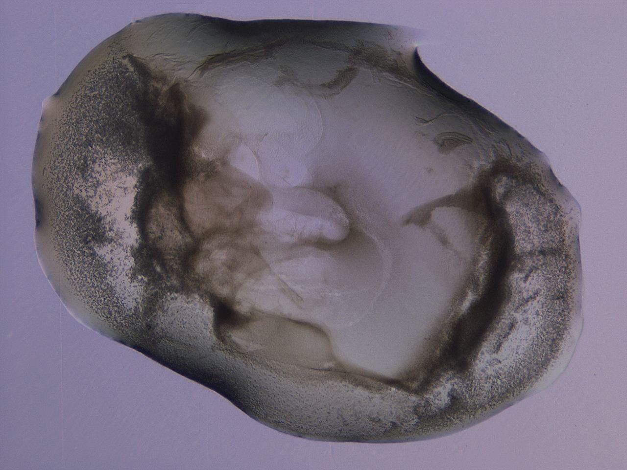04nx_G11_ImagerDefaults_3.jpg