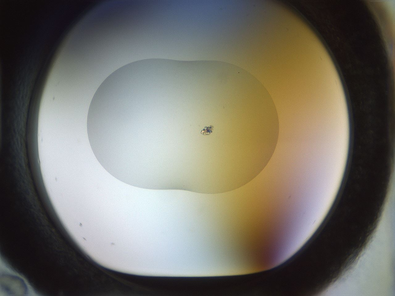 folderID924_plateID1924_batchID8294_wellNum96_profileID1_d1_r128677_ef.jpg