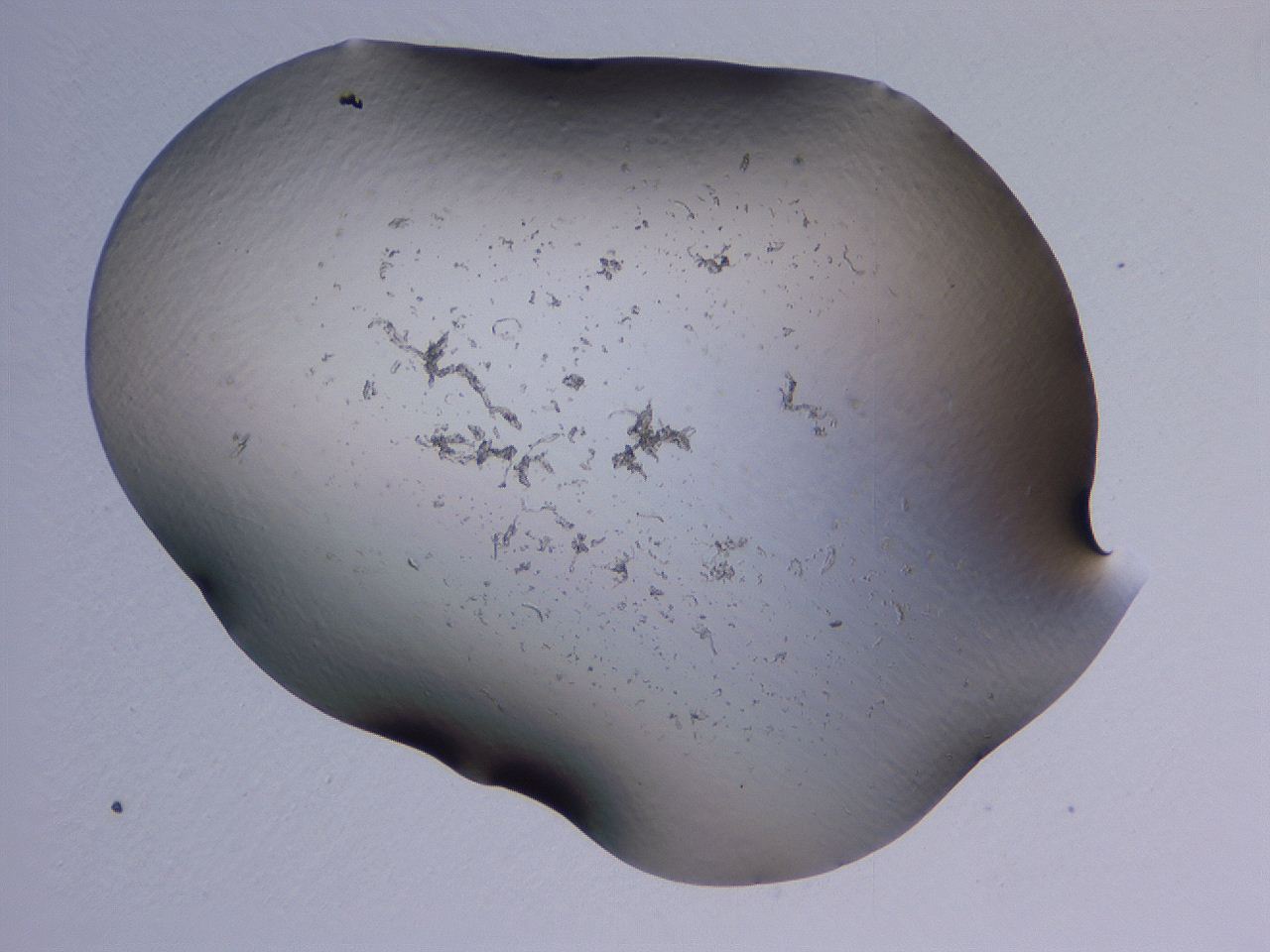04nx_H5_ImagerDefaults_0.jpg