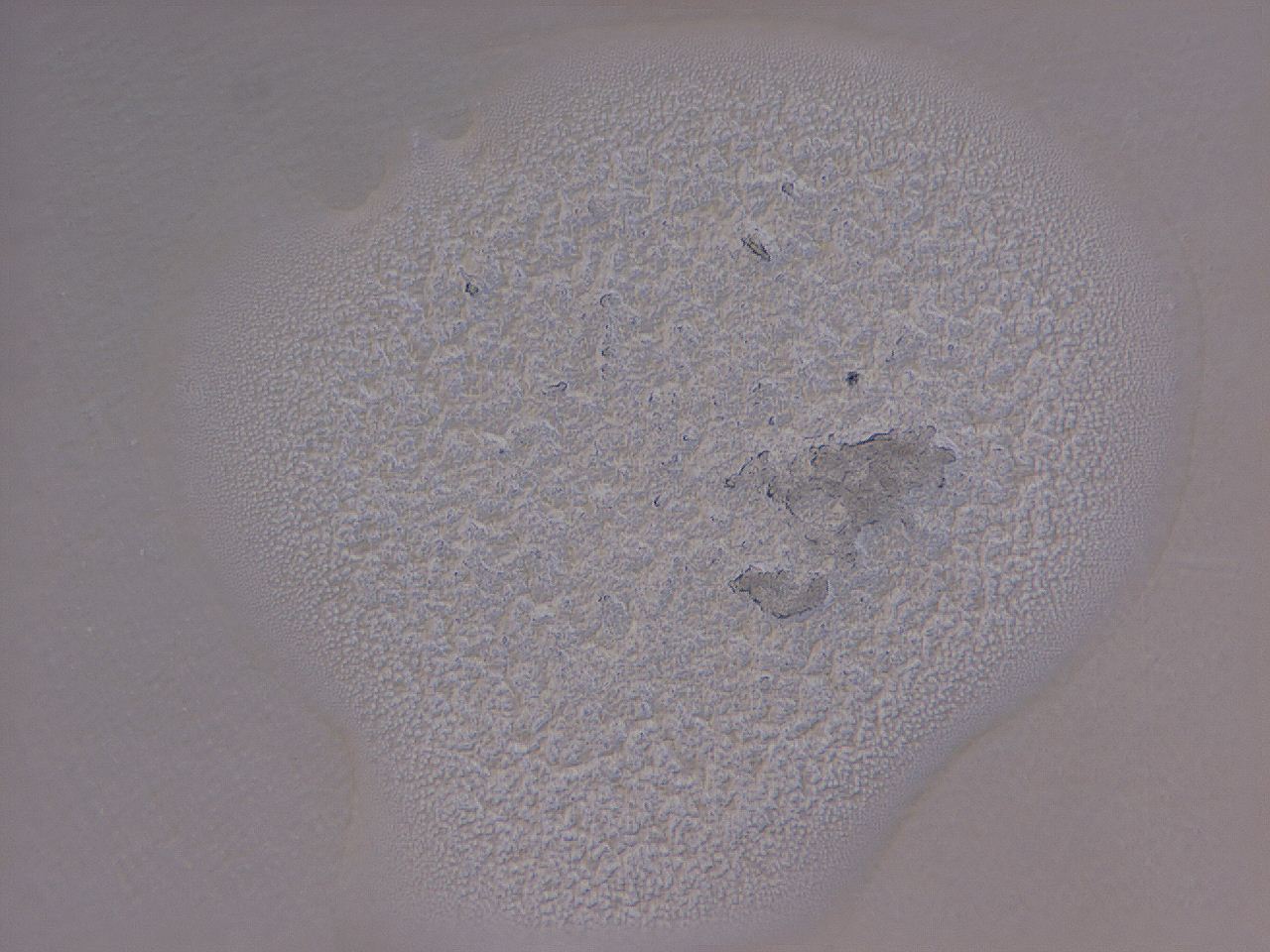 04nx_H8_ImagerDefaults_3.jpg