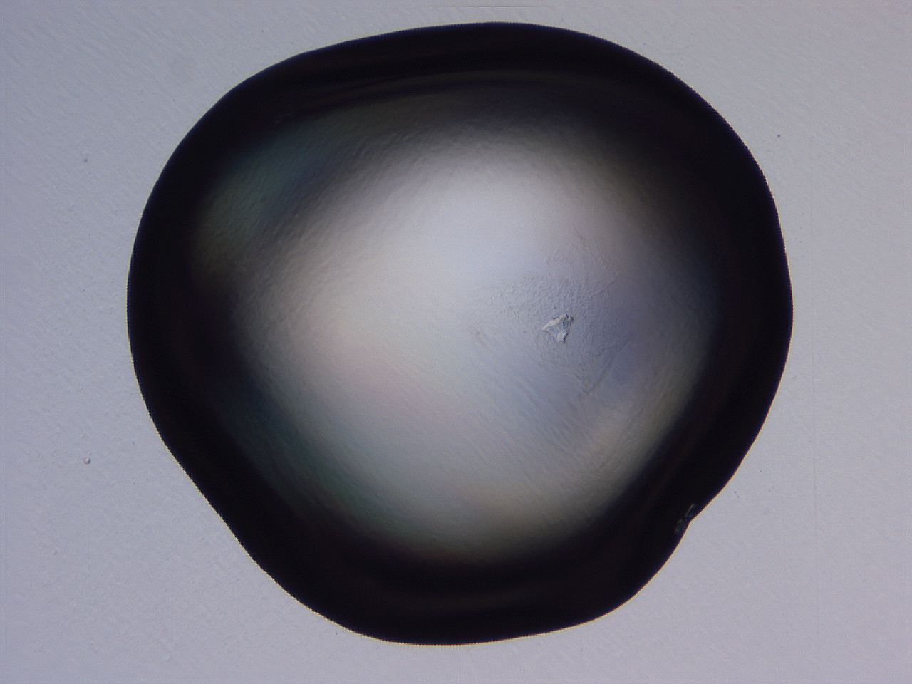 04nx_H9_ImagerDefaults_0.jpg