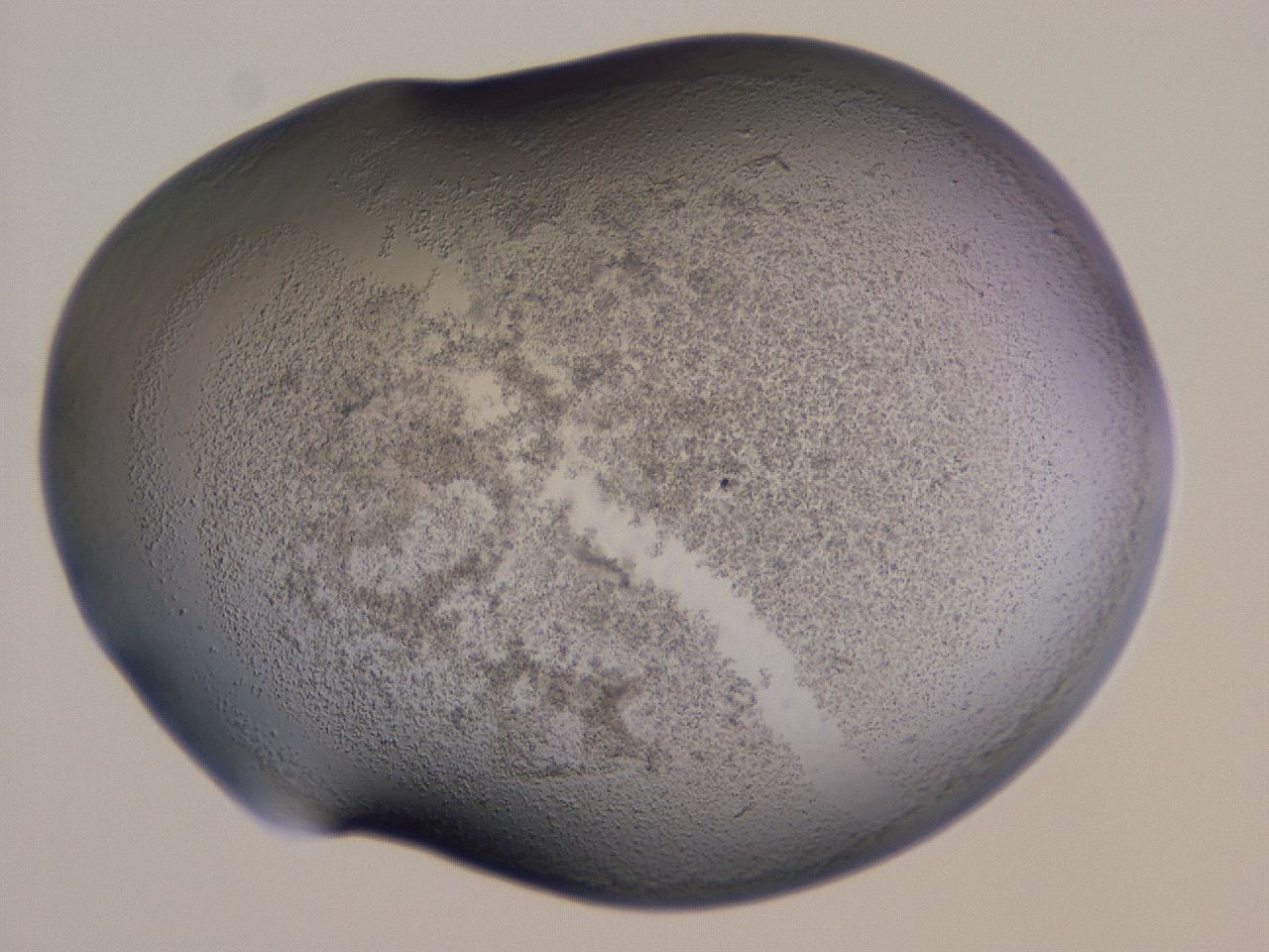 04nx_H10_ImagerDefaults_3.jpg