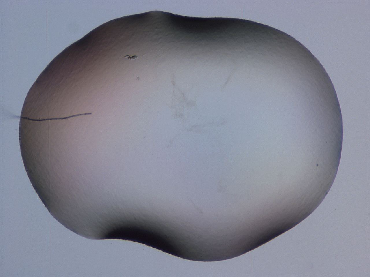 04nx_H11_ImagerDefaults_0.jpg