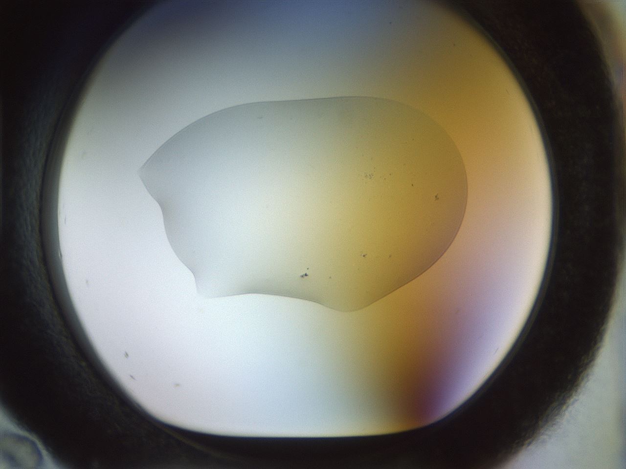 folderID925_plateID1925_batchID8296_wellNum96_profileID1_d1_r128869_ef.jpg