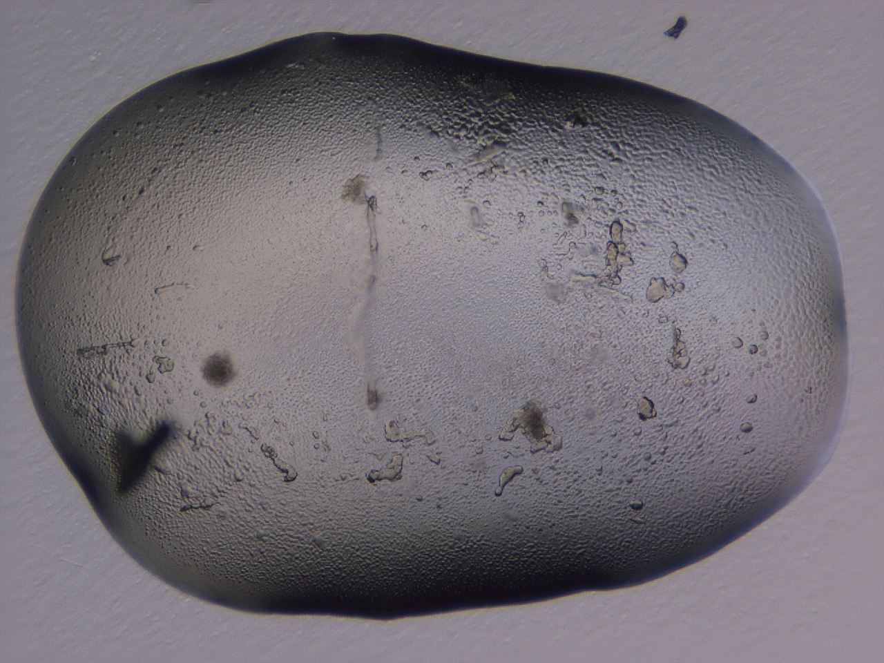 04nx_H12_ImagerDefaults_3.jpg