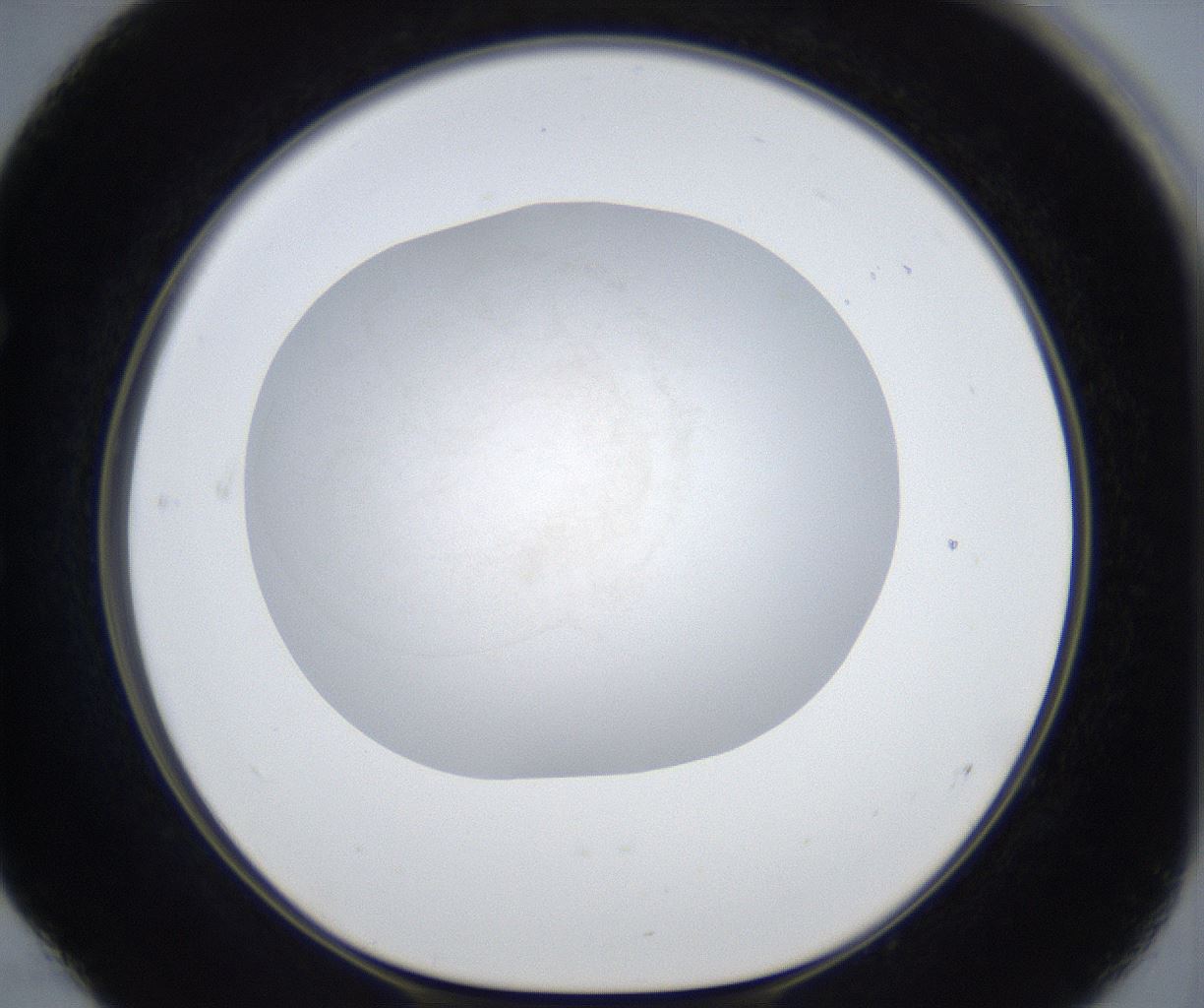 folderID925_plateID2925_batchID15773_wellNum52_profileID1_d1_r239887_ef.jpg