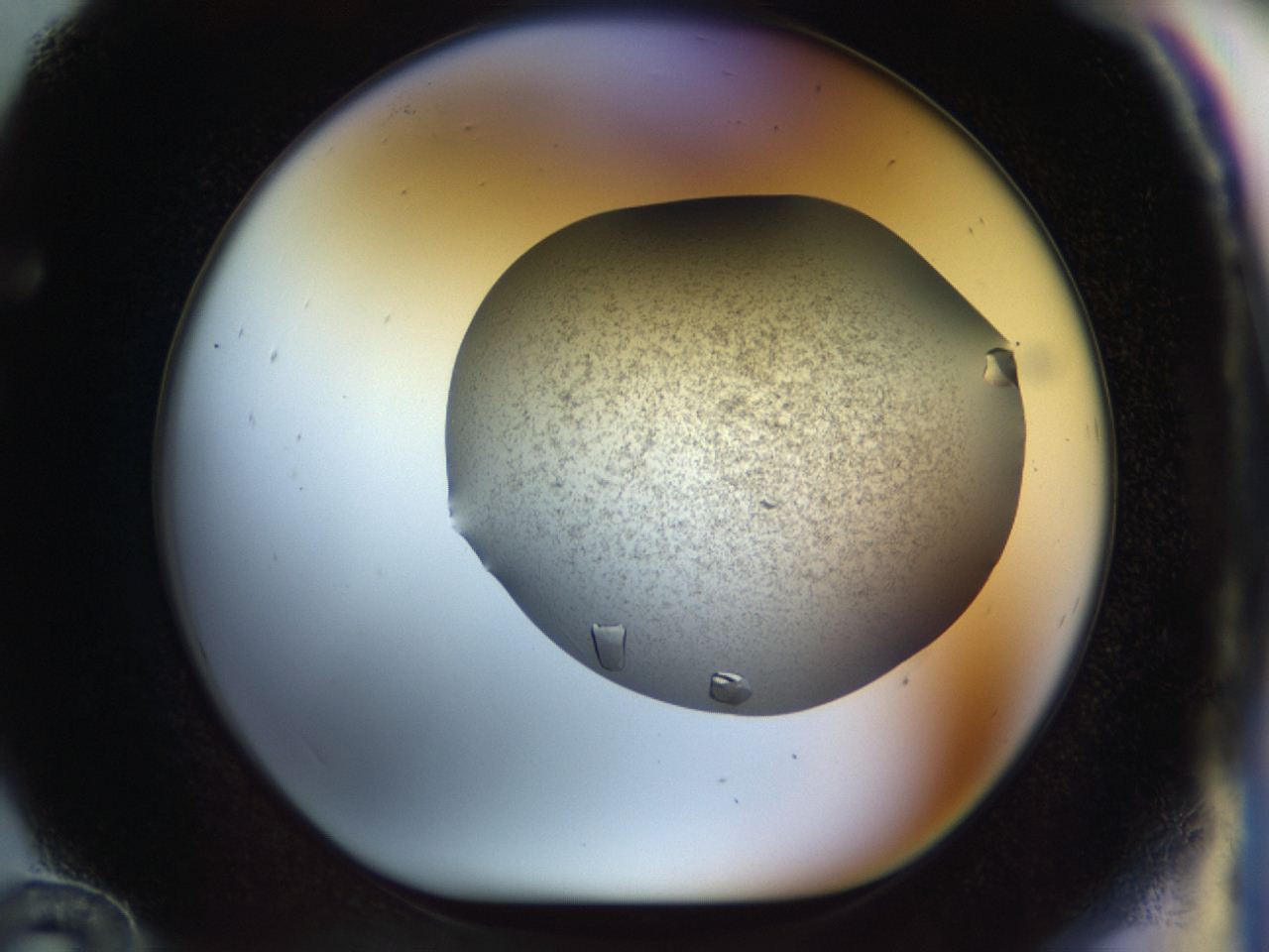 04ny_F12_ImagerDefaults_8.jpg
