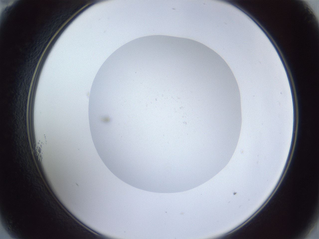 folderID925_plateID925_batchID1265_wellNum11_profileID1_d2_r33504_ef.jpg