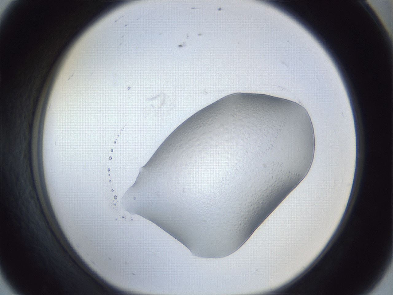 folderID925_plateID925_batchID1265_wellNum56_profileID1_d1_r33593_ef.jpg