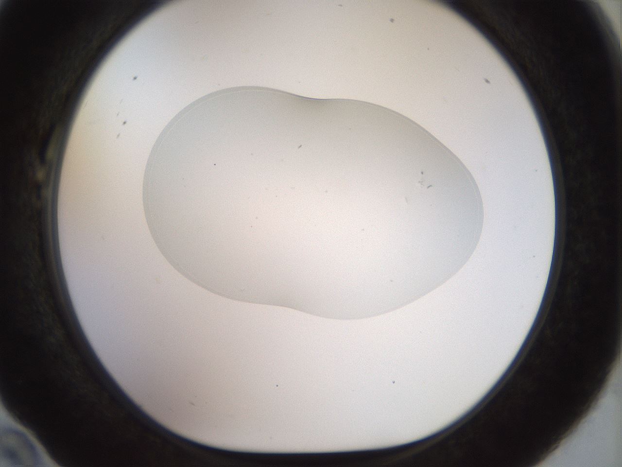 folderID926_plateID1926_batchID8293_wellNum22_profileID1_d1_r128507_ef.jpg