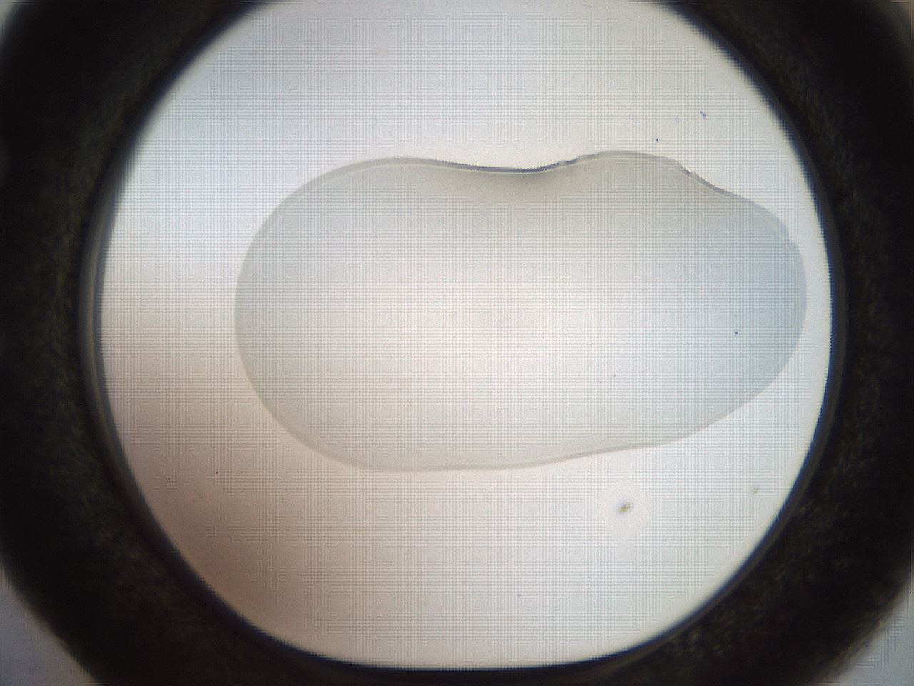 folderID926_plateID1926_batchID8293_wellNum52_profileID1_d1_r128537_ef.jpg