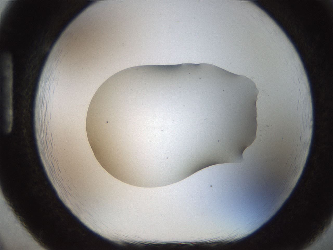 folderID926_plateID1926_batchID8293_wellNum86_profileID1_d1_r128571_ef.jpg