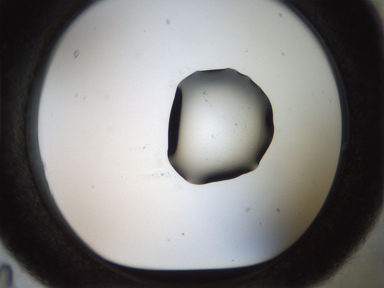 folderID926_plateID1926_batchID8293_wellNum95_profileID1_d1_r128580_ef.jpg