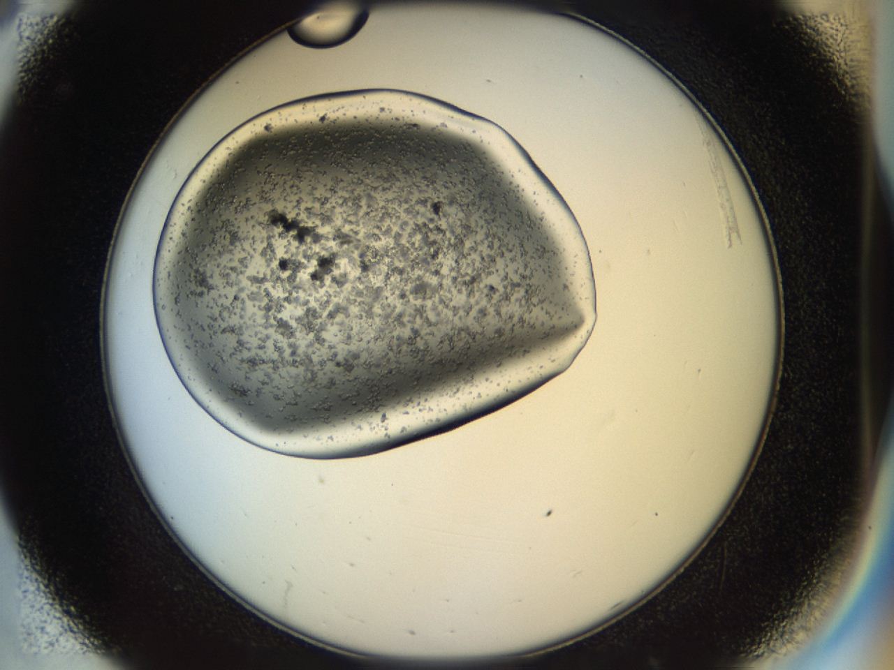 04oh_C8_ImagerDefaults_6.jpg