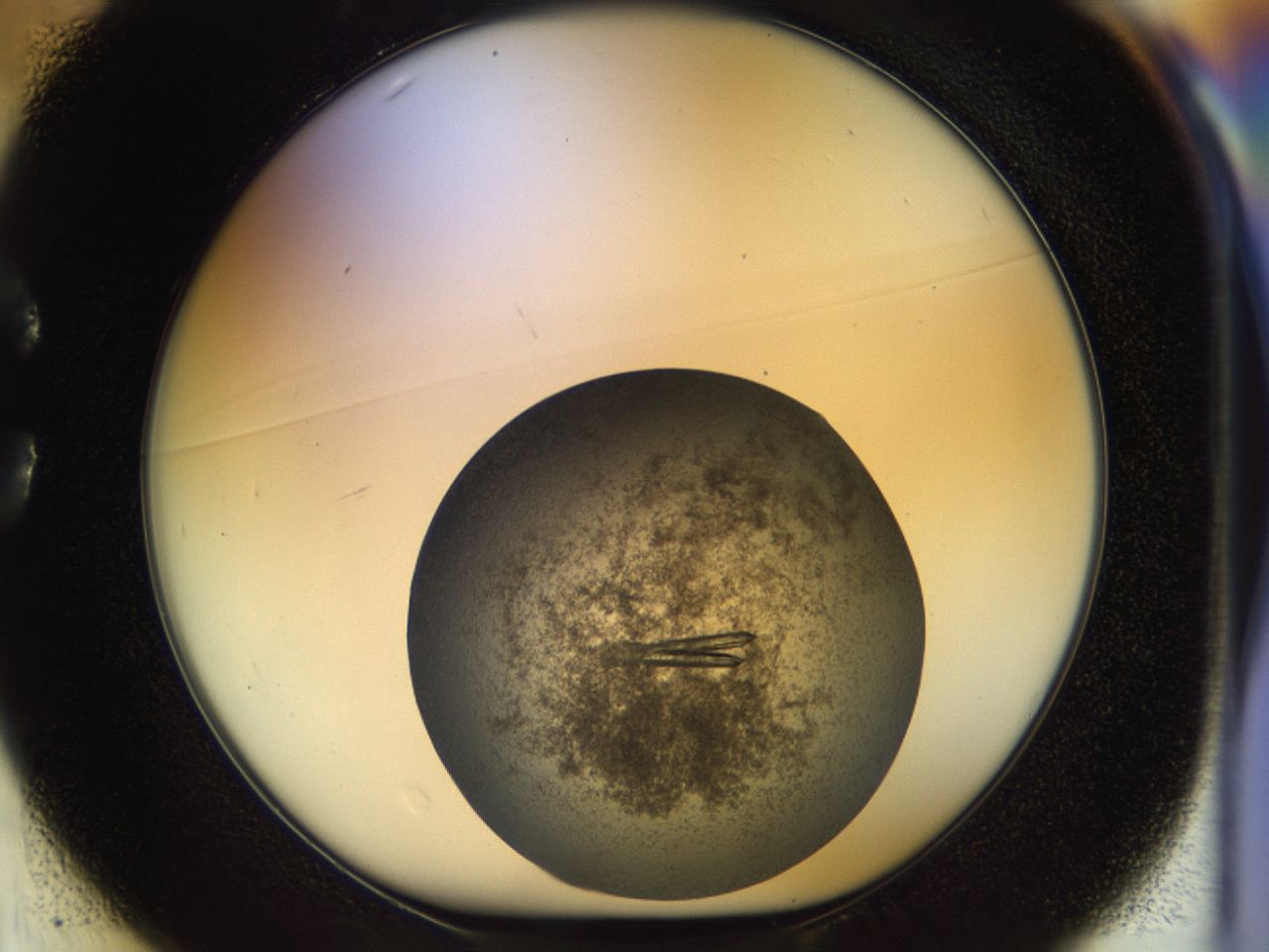 04on_C1_ImagerDefaults_8.jpg