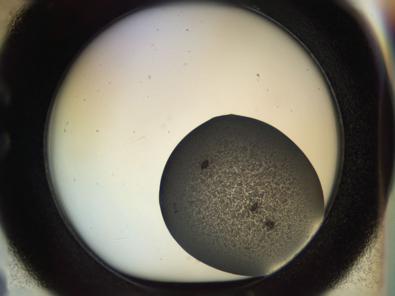 04on_C8_ImagerDefaults_8.jpg