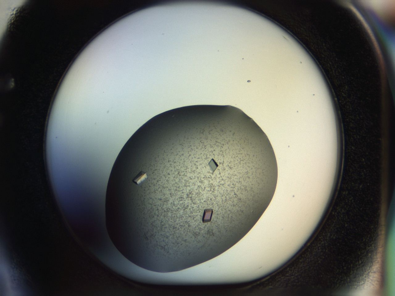 04on_F4_ImagerDefaults_8.jpg