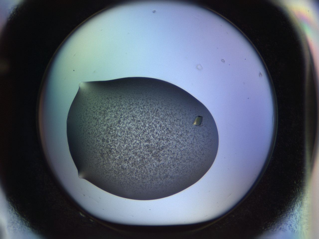 04on_F8_ImagerDefaults_8.jpg