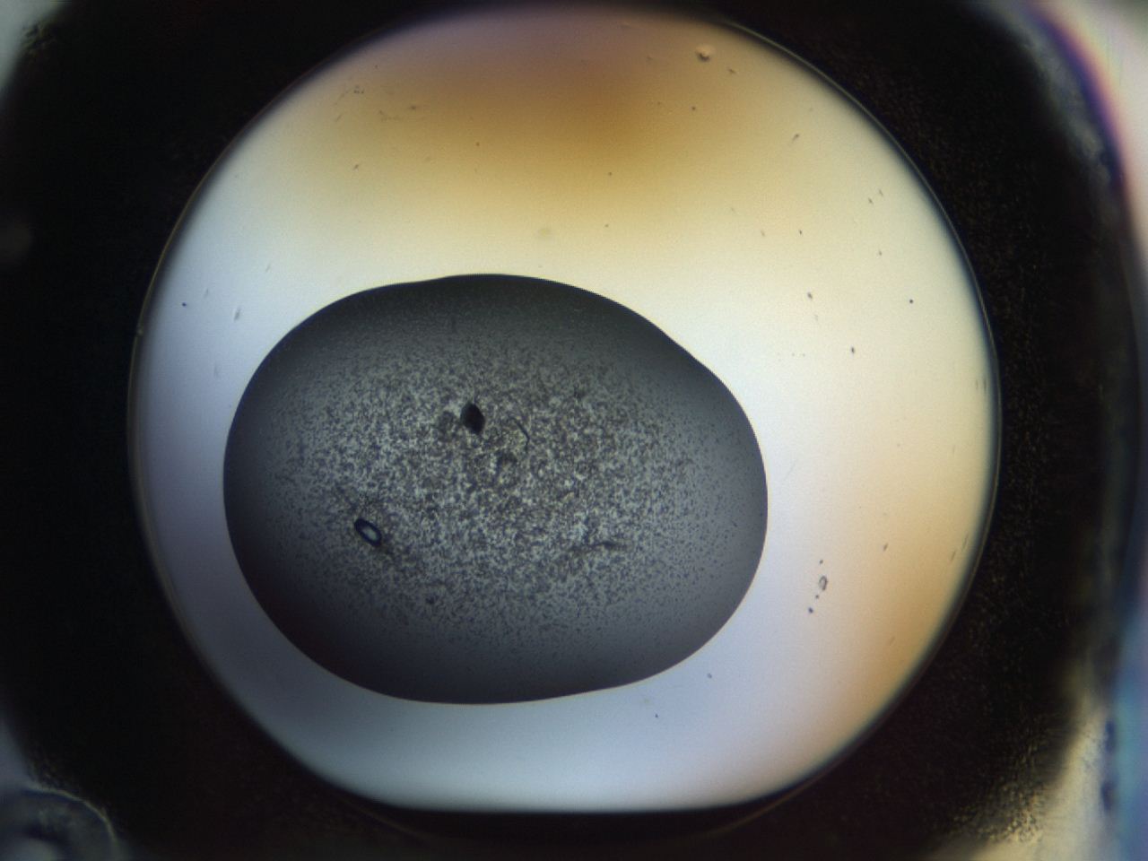 04on_F12_ImagerDefaults_8.jpg