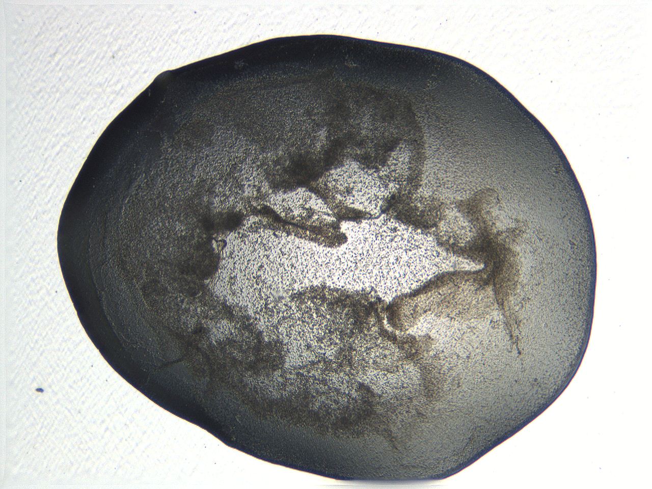 04or_D3_ImagerDefaults_3.jpg