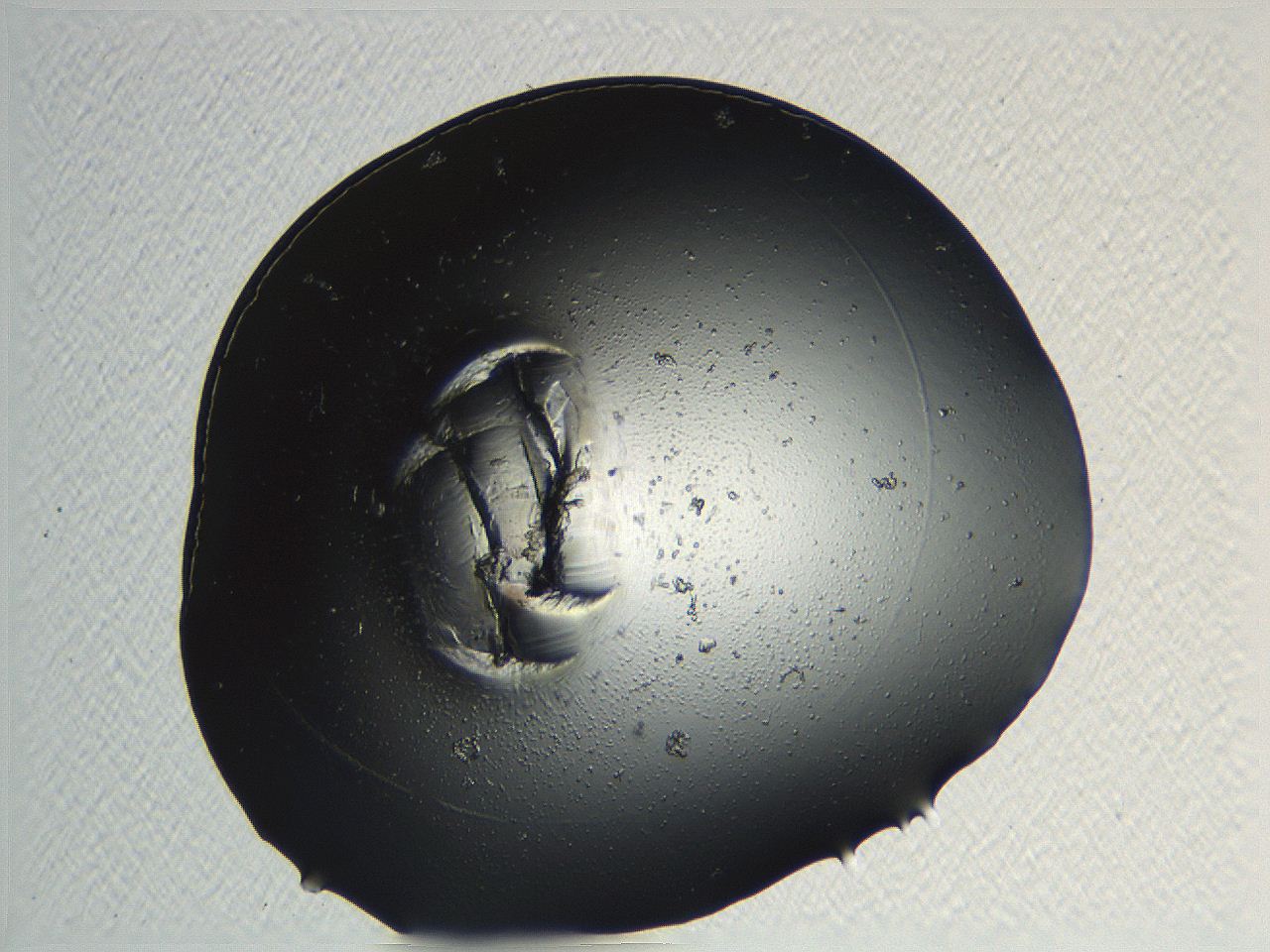 04or_C7_ImagerDefaults_3.jpg