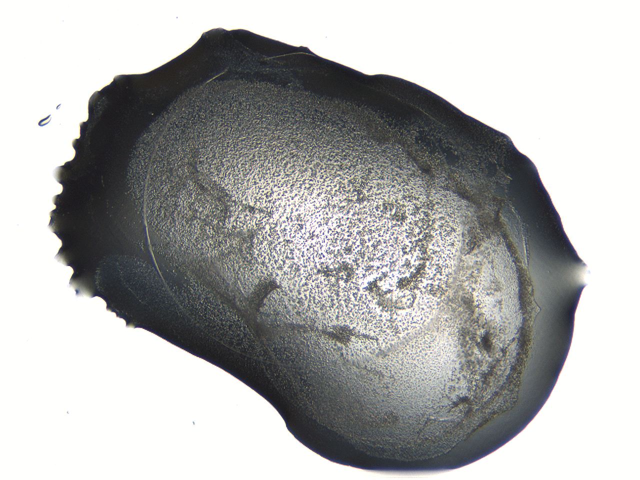 04or_C6_ImagerDefaults_3.jpg