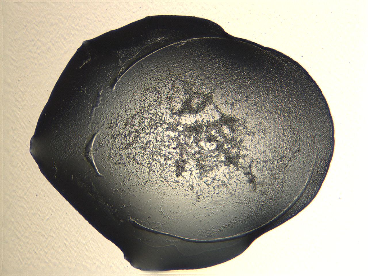 04or_A11_ImagerDefaults_3.jpg