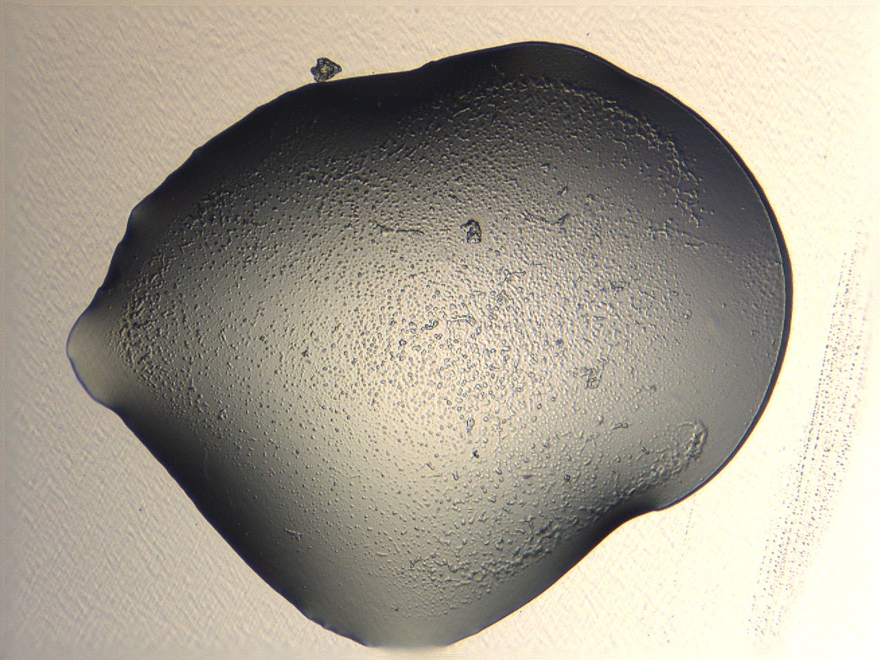 04or_A3_ImagerDefaults_3.jpg