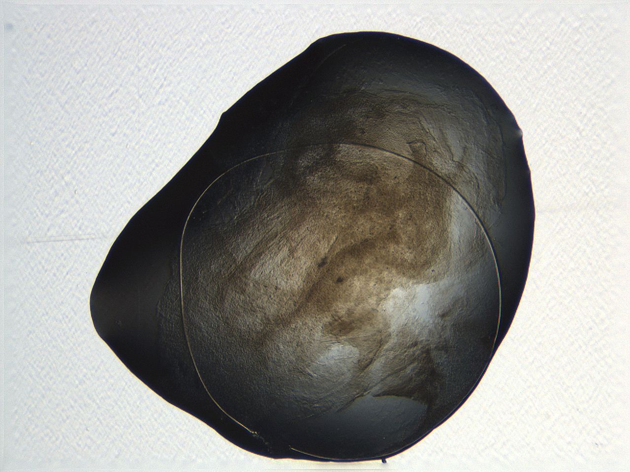 04or_B8_ImagerDefaults_3.jpg