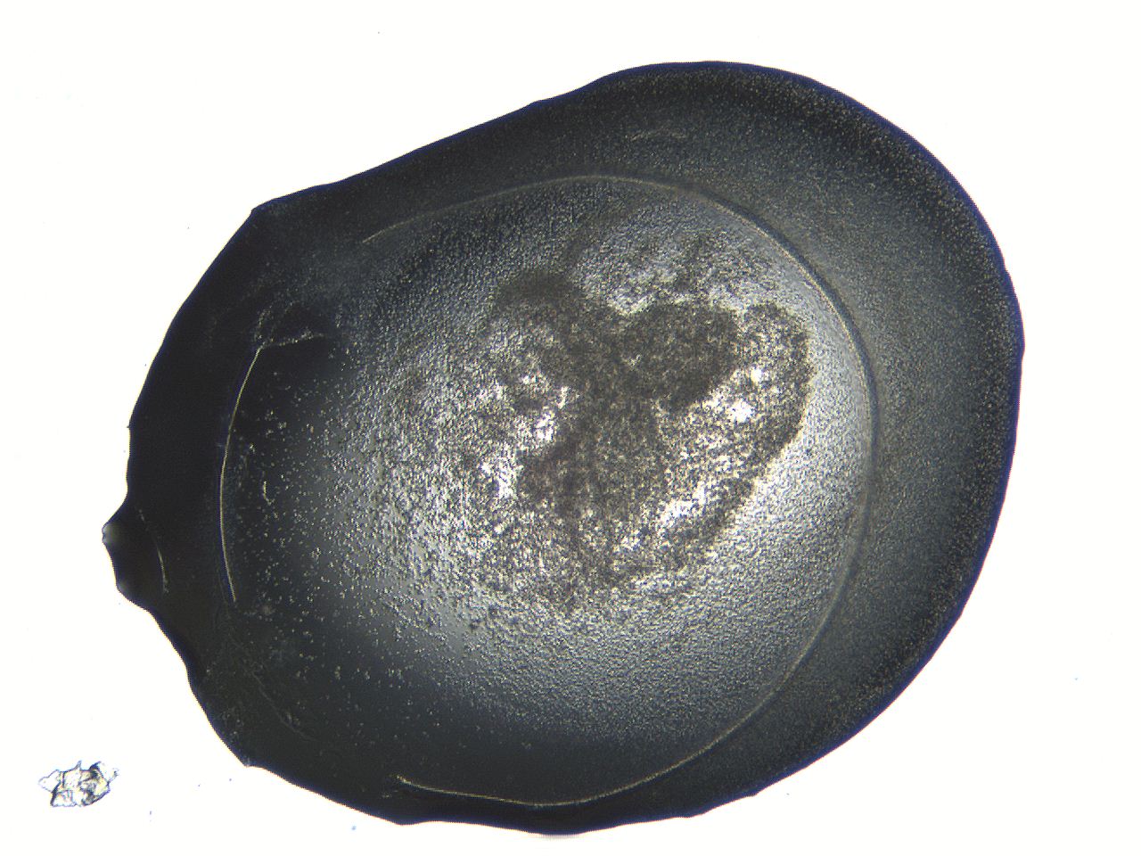 04or_B11_ImagerDefaults_3.jpg