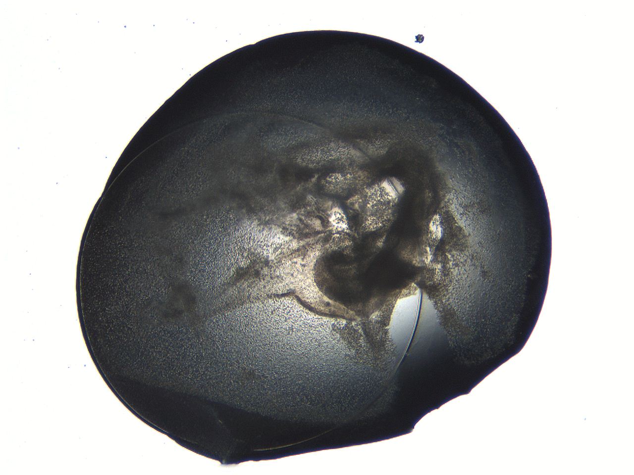 04or_D10_ImagerDefaults_3.jpg