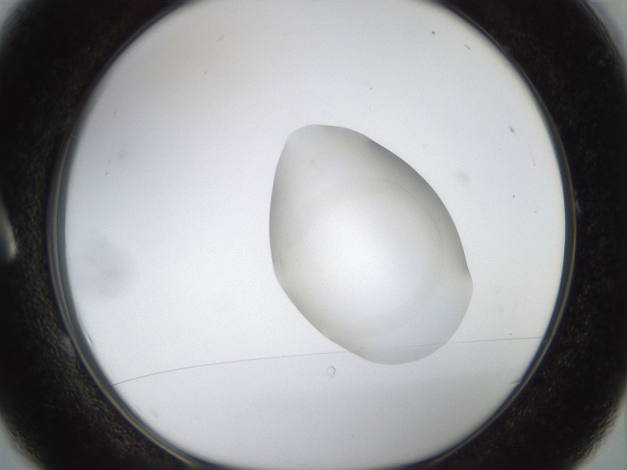 folderID930_plateID930_batchID1270_wellNum1_profileID1_d1_r34179_ef.jpg