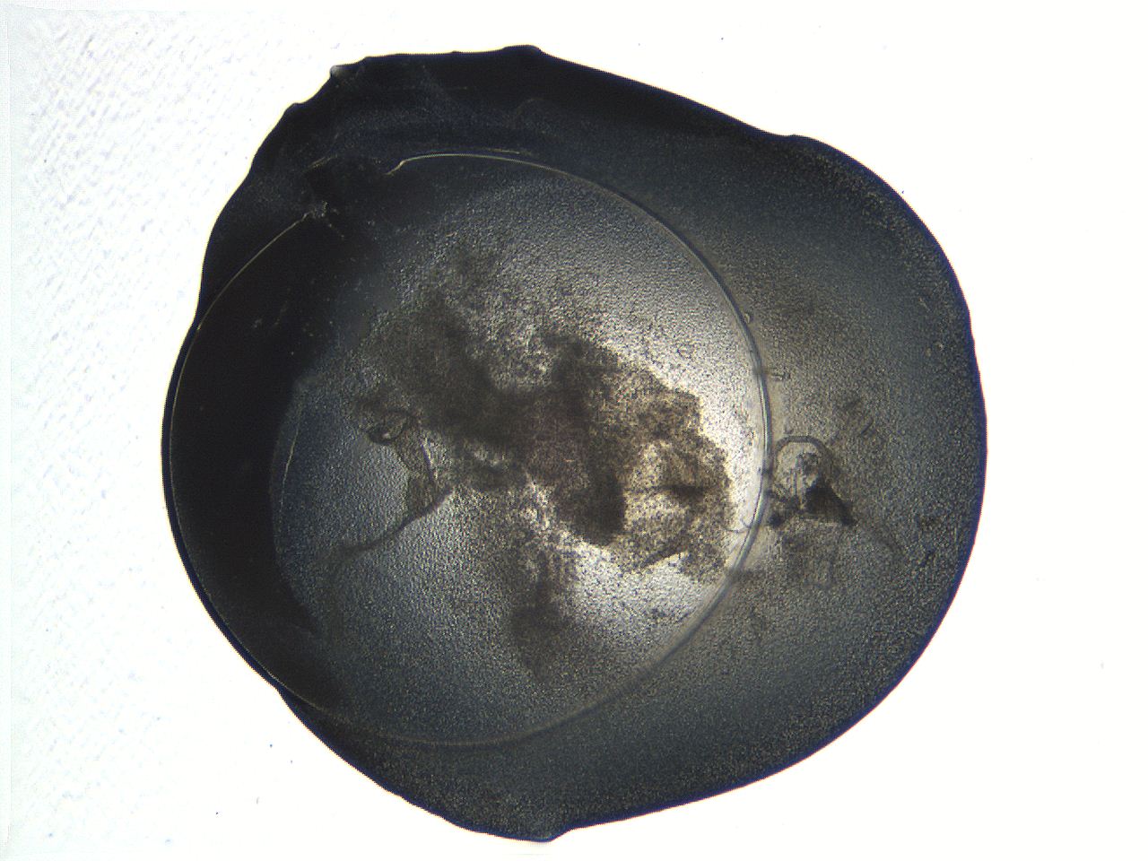 04or_D11_ImagerDefaults_3.jpg