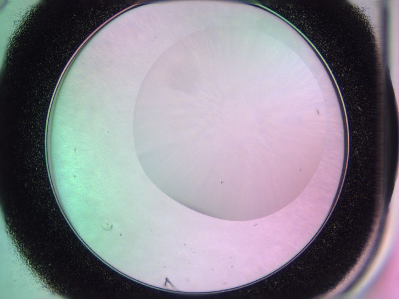 01dc_B8_ImagerDefaults_0.jpg