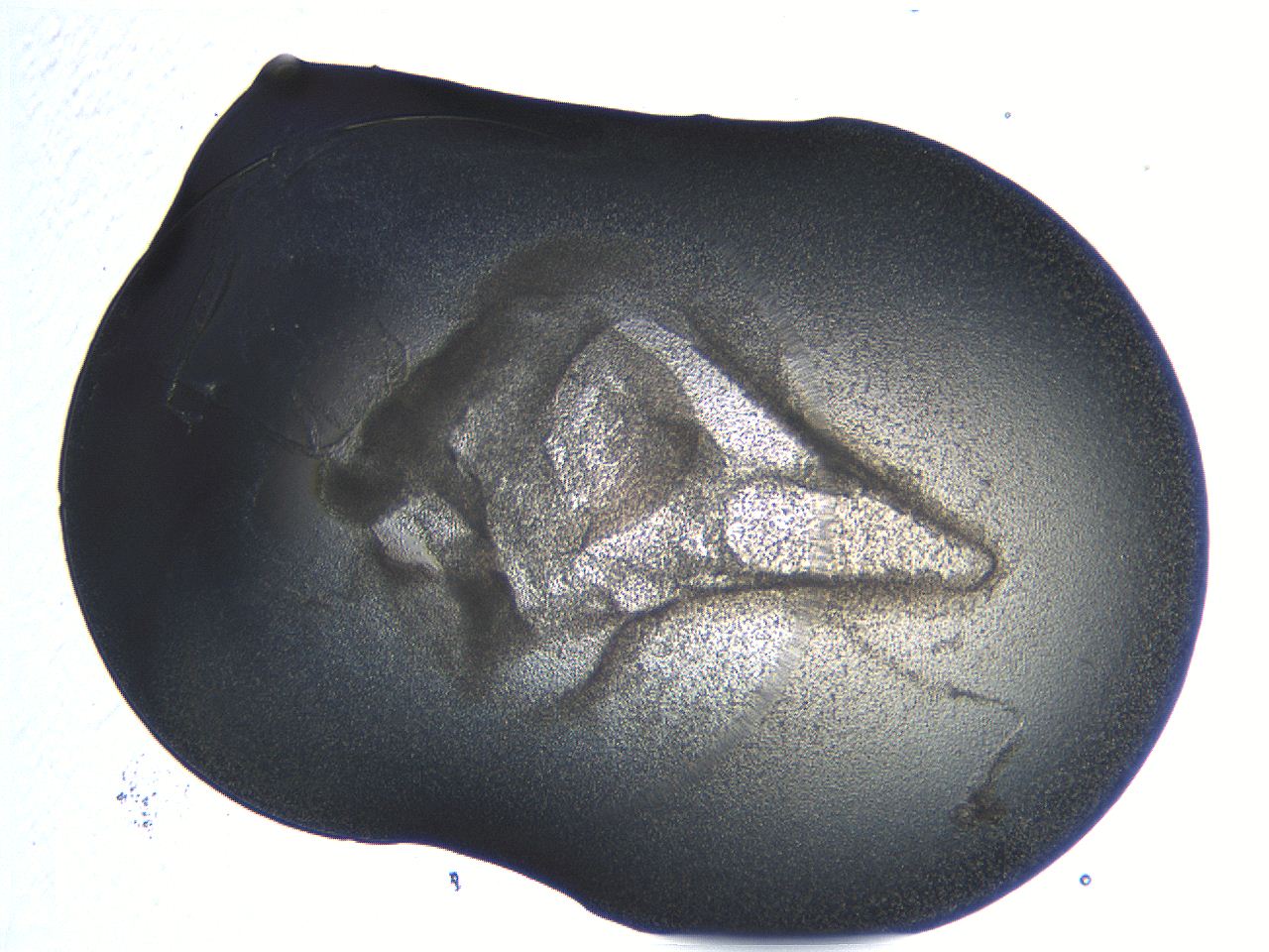 04or_E6_ImagerDefaults_3.jpg