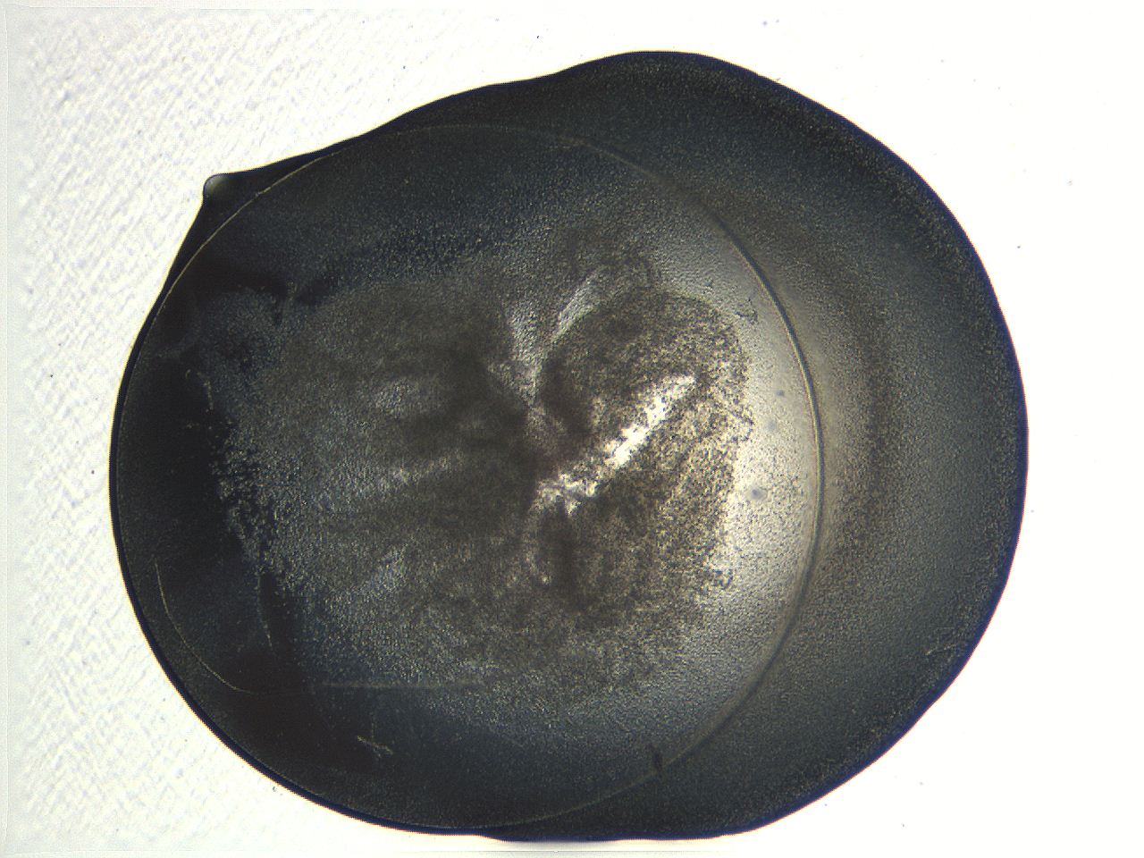 04or_E11_ImagerDefaults_3.jpg