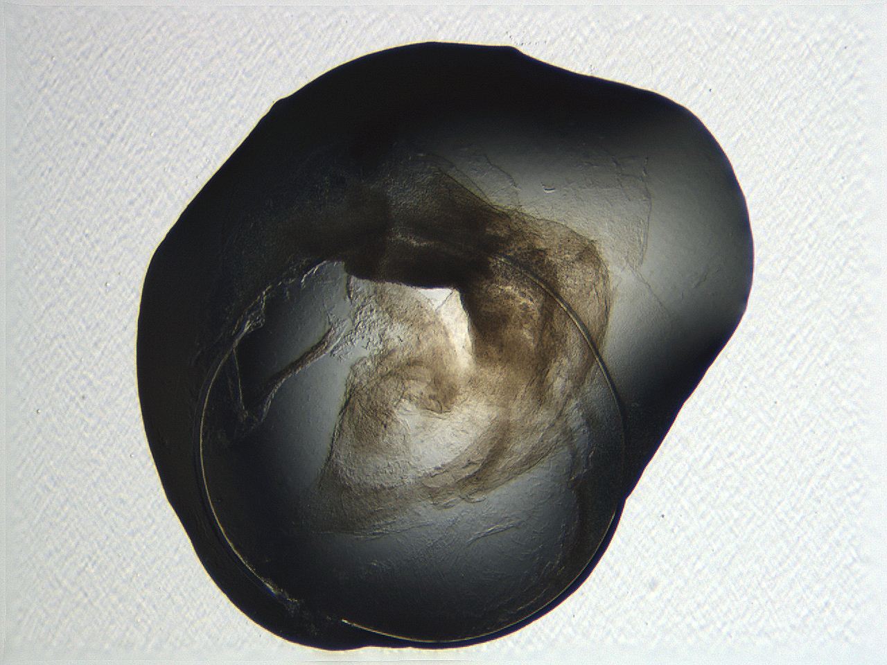 04or_E12_ImagerDefaults_3.jpg