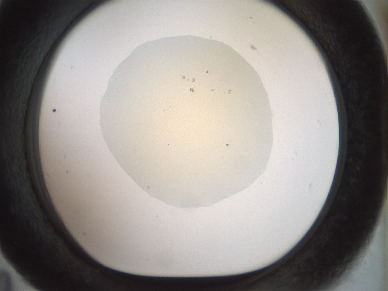 folderID932_plateID1932_batchID8307_wellNum59_profileID1_d1_r128971_ef.jpg