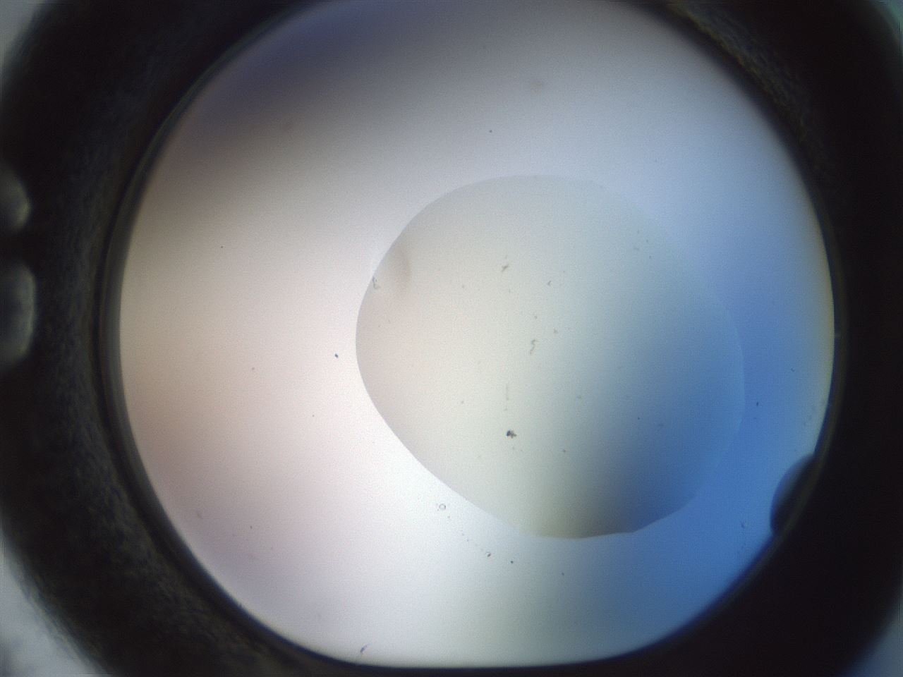 folderID932_plateID1932_batchID8307_wellNum74_profileID1_d1_r128986_ef.jpg